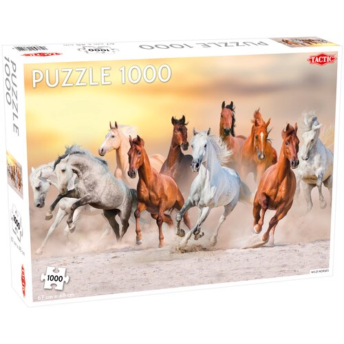 Wild Horses